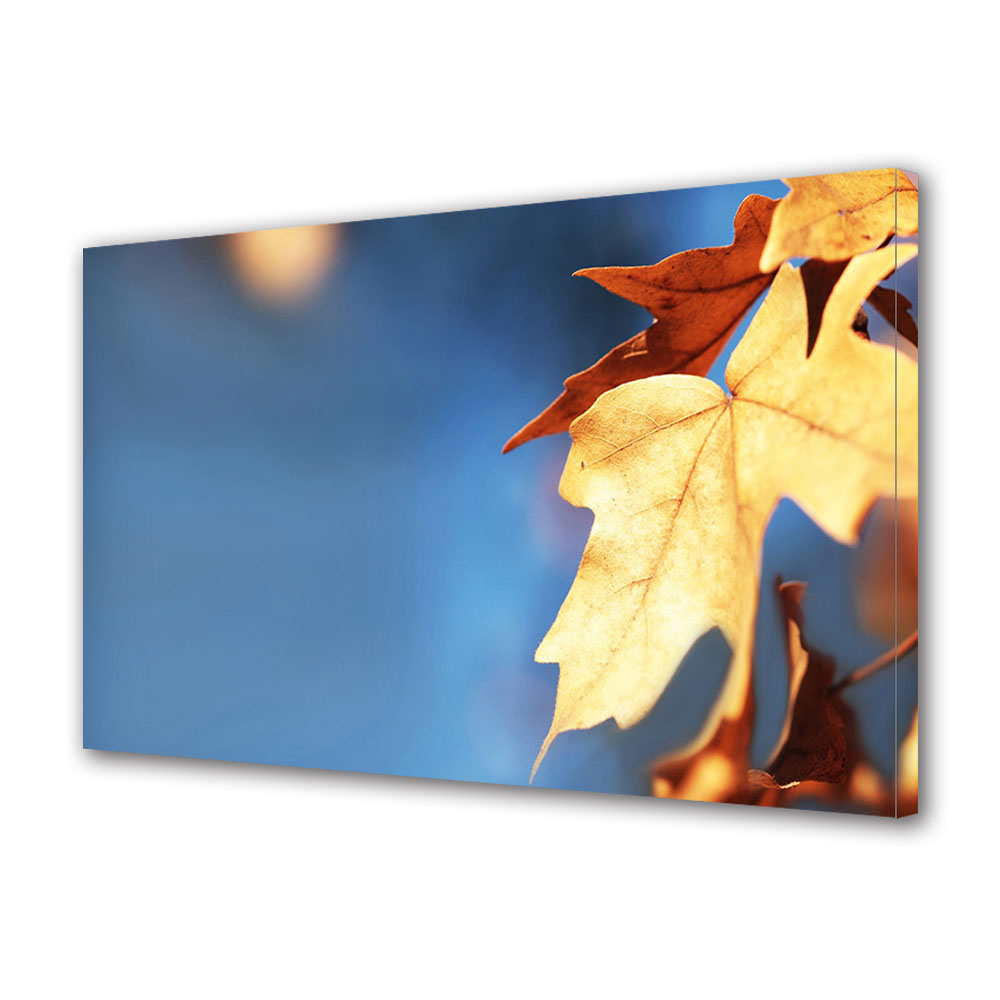 Tablou Canvas Luminos in intuneric VarioView LED, Toamna, Lumina blanda albastra, 40 x 60 cm