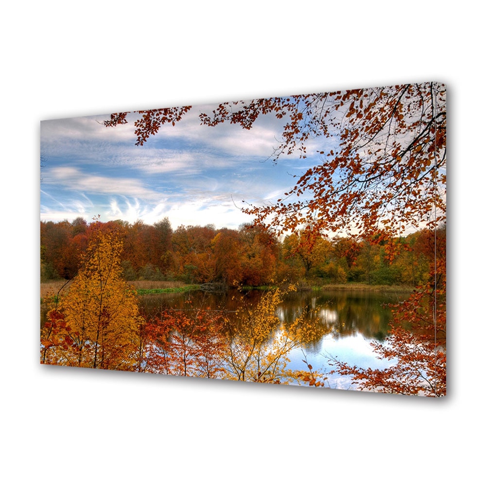 Tablou Canvas Luminos in intuneric VarioView LED, Toamna, Nori catifelati, 40 x 60 cm