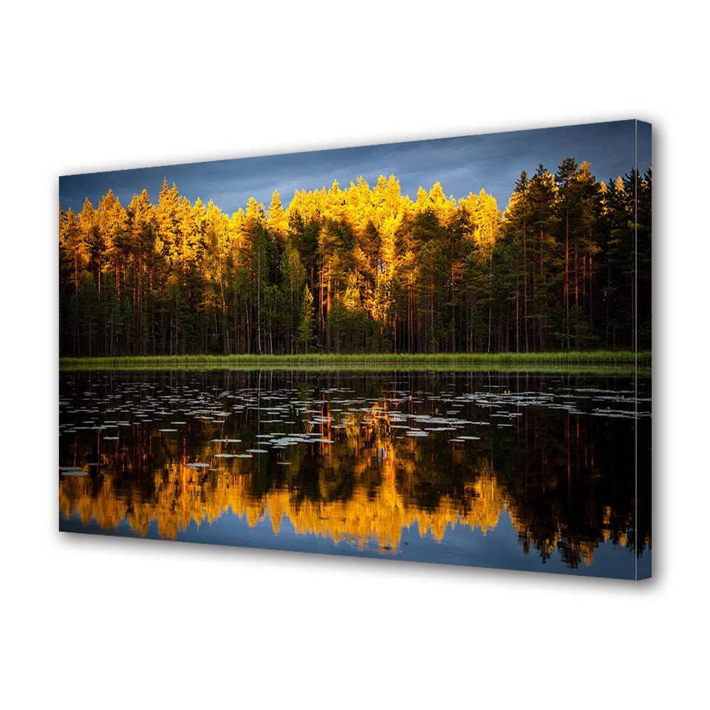 Tablou Canvas Luminos in intuneric VarioView LED, Toamna, Varfurile aurii ale brazilor, 40 x 60 cm