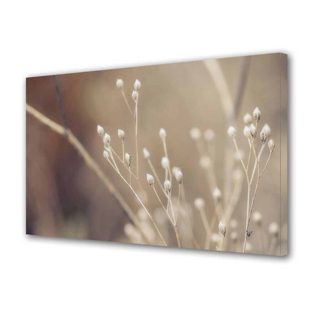 Tablou Canvas Luminos in intuneric VarioView LED, Toamna, Crengute de plante uscate, 40 x 60 cm
