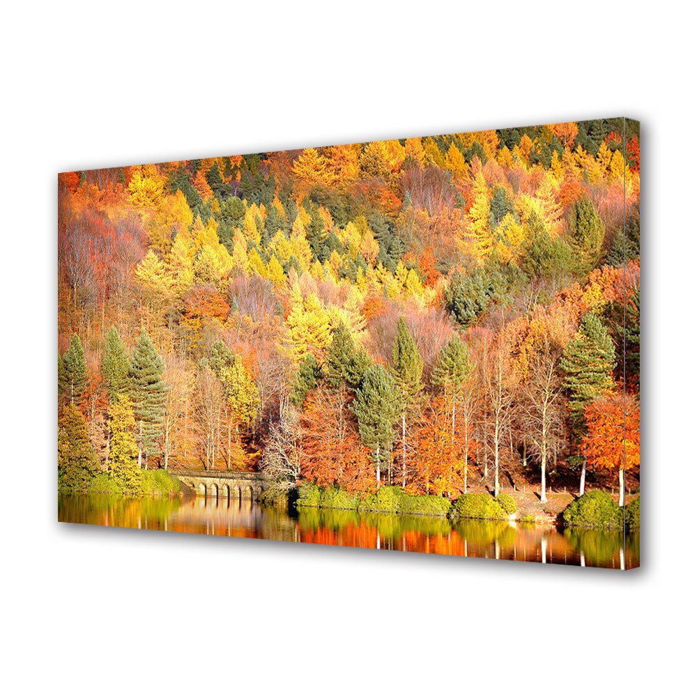 Tablou Canvas Luminos in intuneric VarioView LED, Toamna, Padure in straturi colorate, 30 x 45 cm