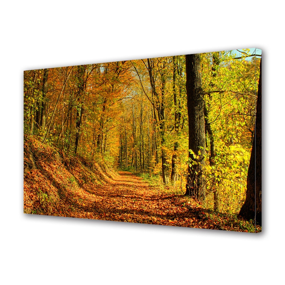 Tablou Canvas Luminos in intuneric VarioView LED, Toamna, Bucuria luminii, 30 x 45 cm