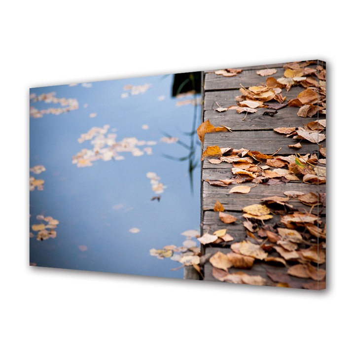 Tablou Canvas Luminos in intuneric VarioView LED, Toamna, Frunze maronii pe ponton, 30 x 45 cm