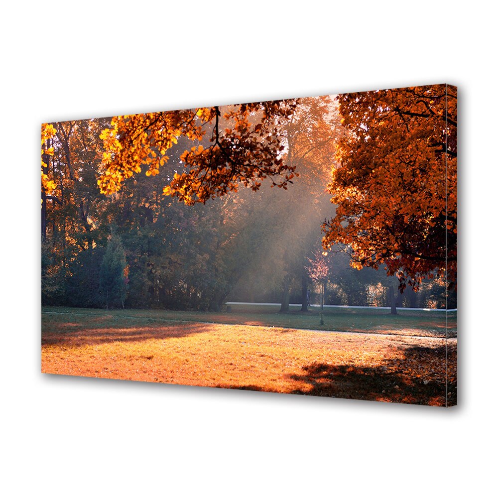 Tablou Canvas Luminos in intuneric VarioView LED, Toamna, Raza in mijlocul poienii, 40 x 60 cm