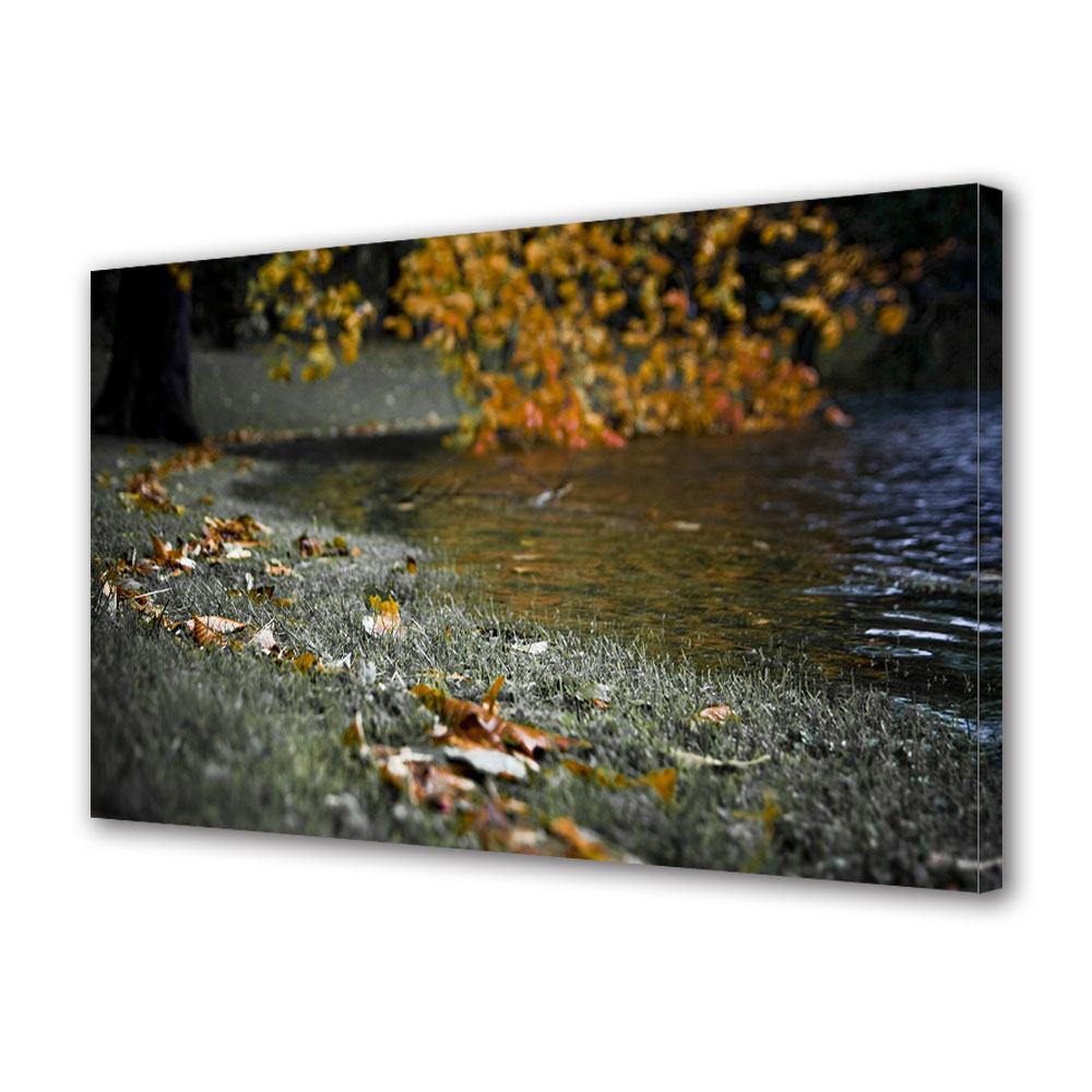 Tablou Canvas Luminos in intuneric VarioView LED, Toamna, Frunze uscate pe malul raului, 40 x 60 cm