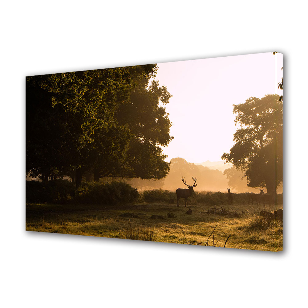 Tablou Canvas Luminos in intuneric VarioView LED, Toamna, Familie de caprioare in poiana, 30 x 45 cm