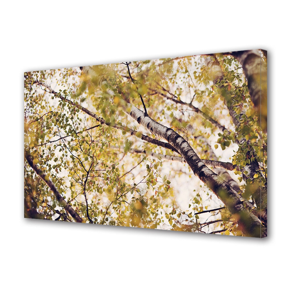 Tablou Canvas Luminos in intuneric VarioView LED, Toamna, Copacul cu trunchi lucios, 30 x 45 cm