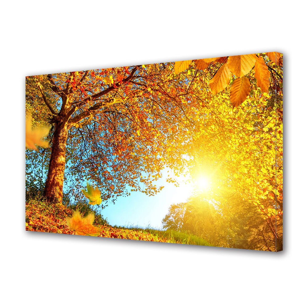 Tablou Canvas Luminos in intuneric VarioView LED, Toamna, Soare puternic de toamna, 40 x 60 cm