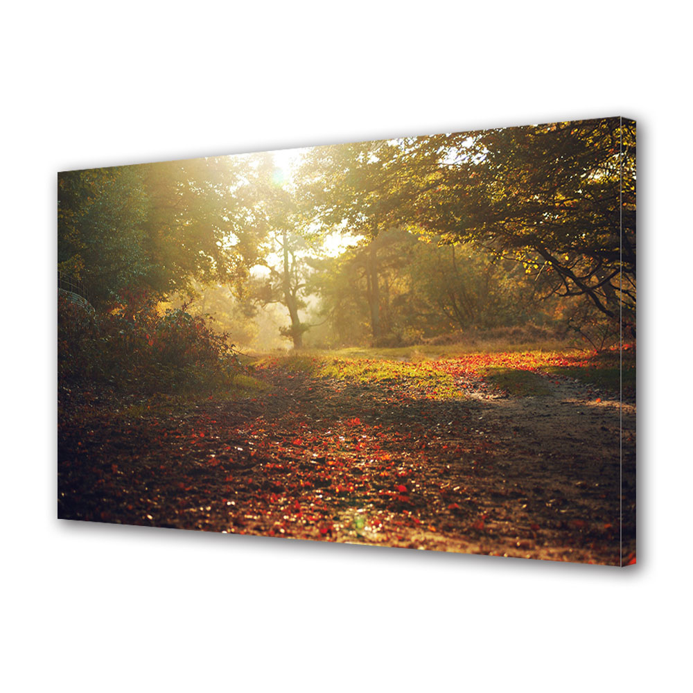 Tablou Canvas Luminos in intuneric VarioView LED, Toamna, Poiana in lumina diminetii, 40 x 60 cm