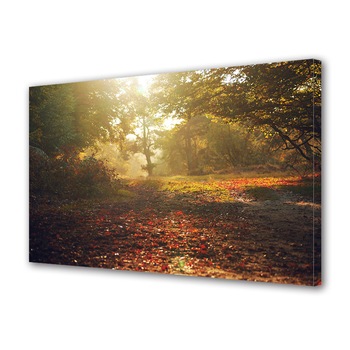 Tablou Canvas Luminos in intuneric VarioView LED, Toamna, Poiana in lumina diminetii, 30 x 45 cm Tablou Canvas Luminos in intuneric VarioView LED, Toamna, Poiana in lumina diminetii, 30 x 45 cm