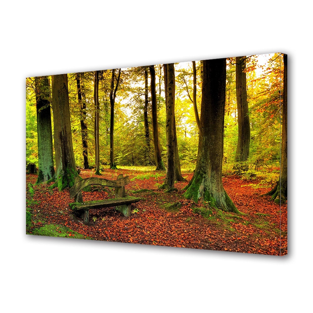 Tablou Canvas Luminos in intuneric VarioView LED, Toamna, Banca uitata in mijlocul padurii, 40 x 60 cm
