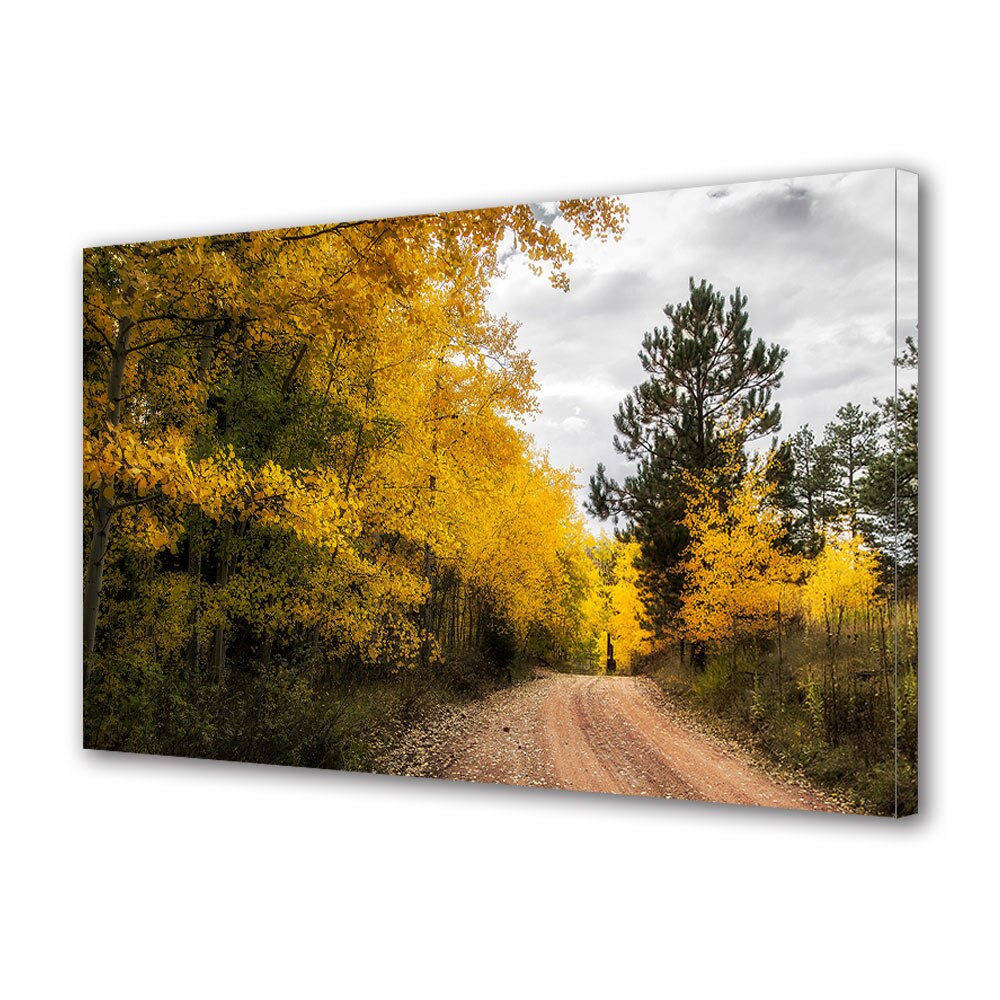 Tablou Canvas Luminos in intuneric VarioView LED, Toamna, Se apropie ploaia, 40 x 60 cm
