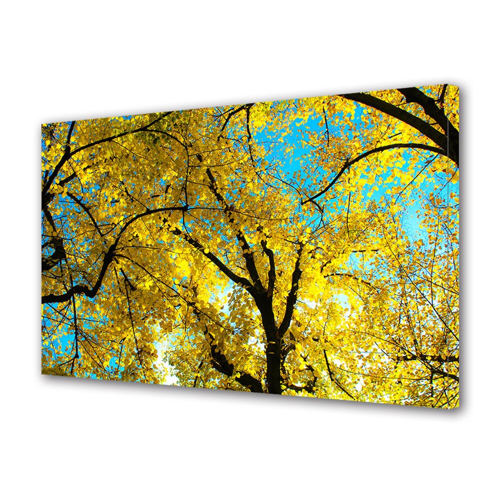 Tablou Canvas Luminos in intuneric VarioView LED, Toamna, Coroanele galbene pe cerul albastru, 40 x 60 cm