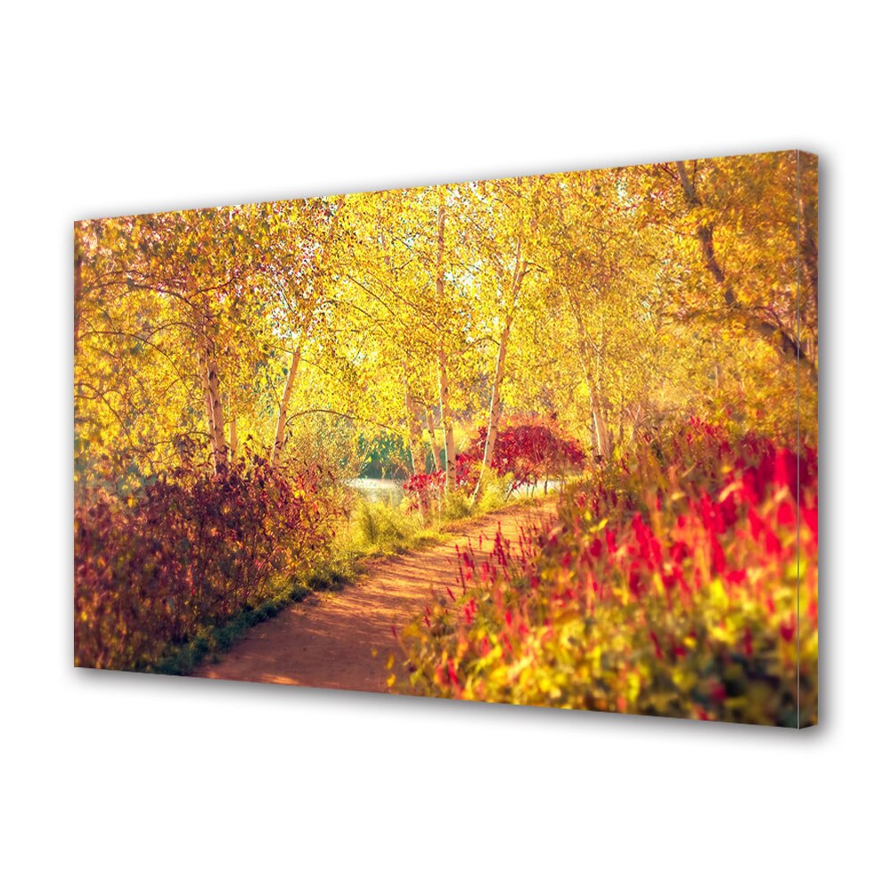 Tablou Canvas Luminos in intuneric VarioView LED, Toamna, Lumina minunata pe carare, 40 x 60 cm