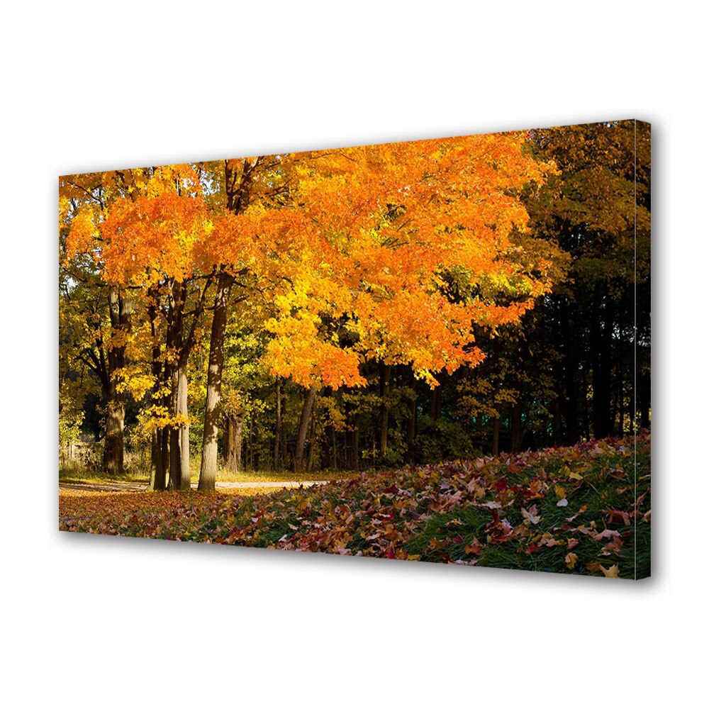 Tablou Canvas Luminos in intuneric VarioView LED, Toamna, Portocaliu predominant, 40 x 60 cm