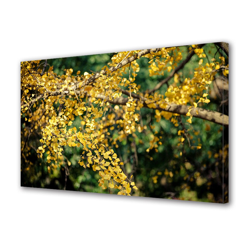 Tablou Canvas Luminos in intuneric VarioView LED, Toamna, Ramura de ginkgo, 40 x 60 cm