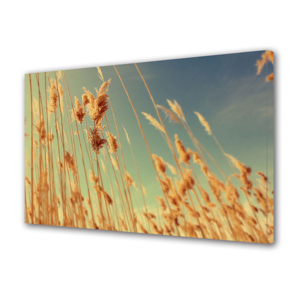 Tablou Canvas Luminos in intuneric VarioView LED, Toamna, Prin iarba inalta, 30 x 45 cm