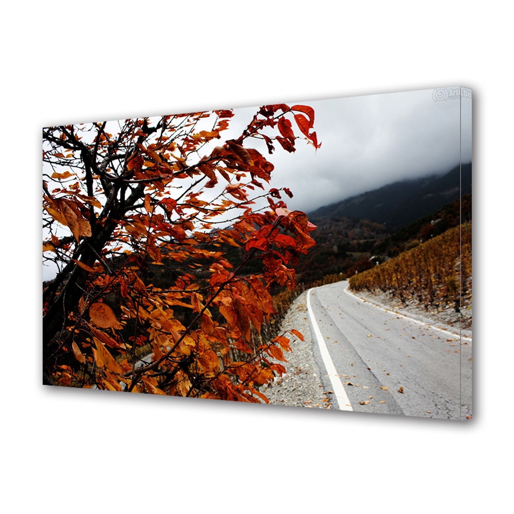 Tablou Canvas Luminos in intuneric VarioView LED, Toamna, Drum pustiu, 30 x 45 cm