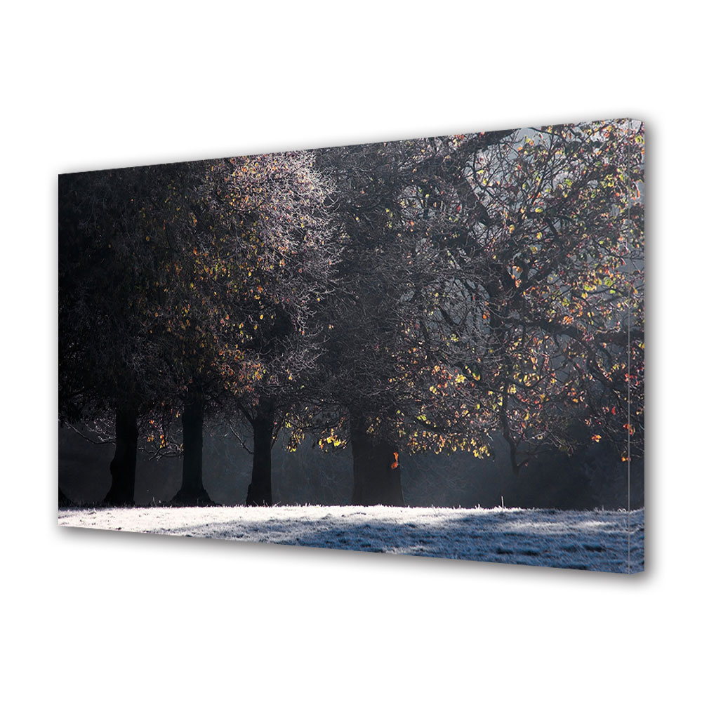 Tablou Canvas Luminos in intuneric VarioView LED, Toamna, Poiana inghetata, 40 x 60 cm