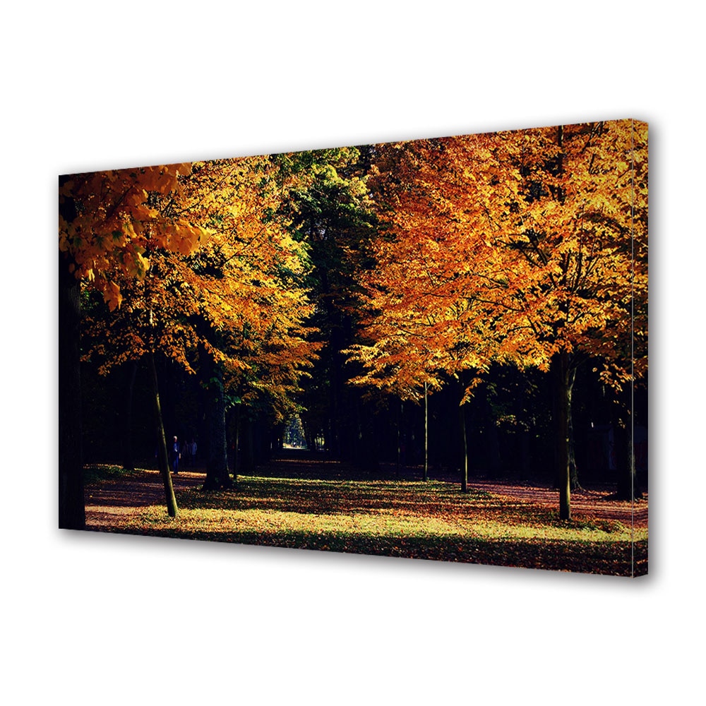 Tablou Canvas Luminos in intuneric VarioView LED, Toamna, Culori minunate de toamna, 40 x 60 cm