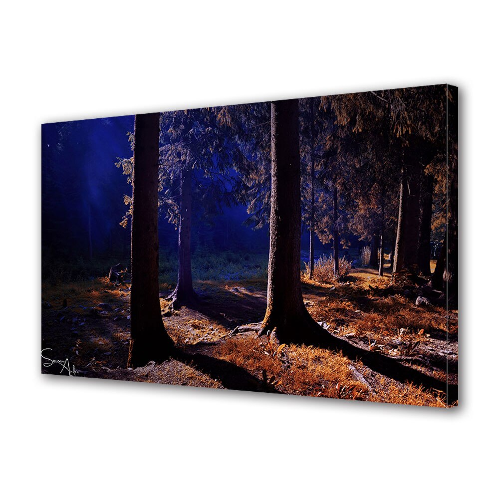 Tablou Canvas Luminos in intuneric VarioView LED, Toamna, Intunecare, 40 x 60 cm