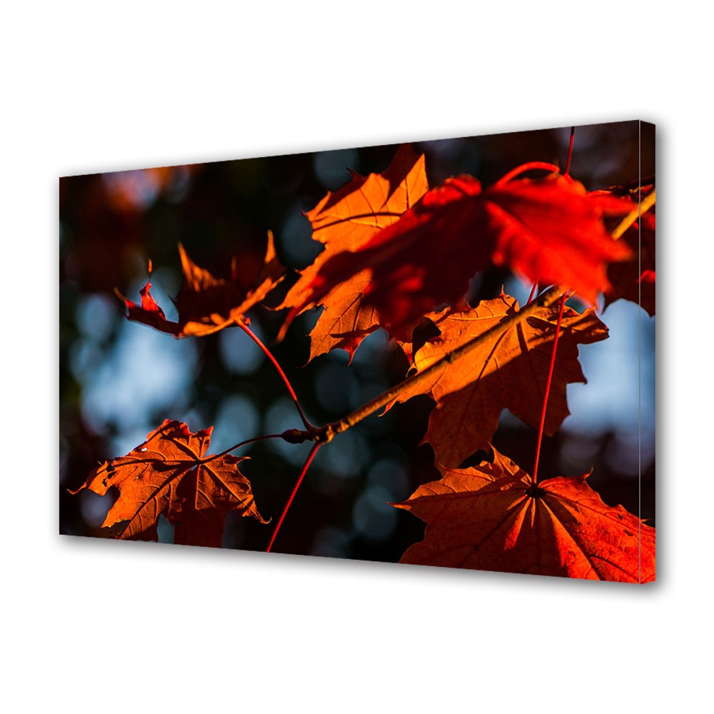 Tablou Canvas Luminos in intuneric VarioView LED, Toamna, Lumina rosie peste ramura, 40 x 60 cm