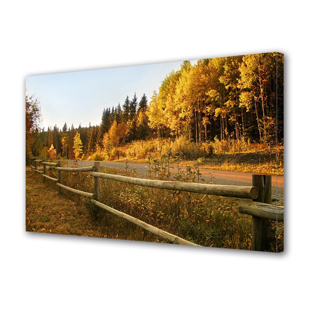 Tablou Canvas Luminos in intuneric VarioView LED, Toamna, Soare pe marginea drumului, 30 x 45 cm