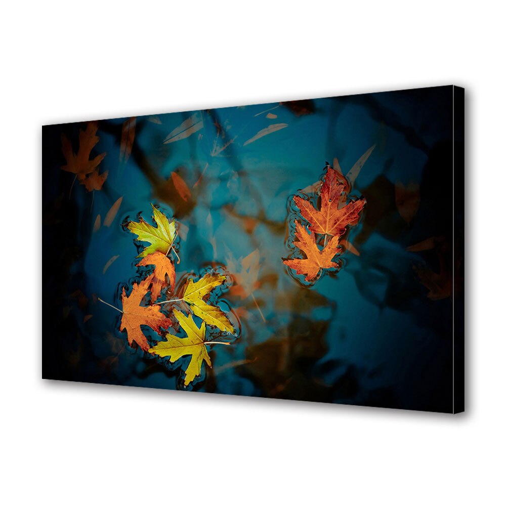 Tablou Canvas Luminos in intuneric VarioView LED, Toamna, Grup de frunze plutitoare, 30 x 45 cm