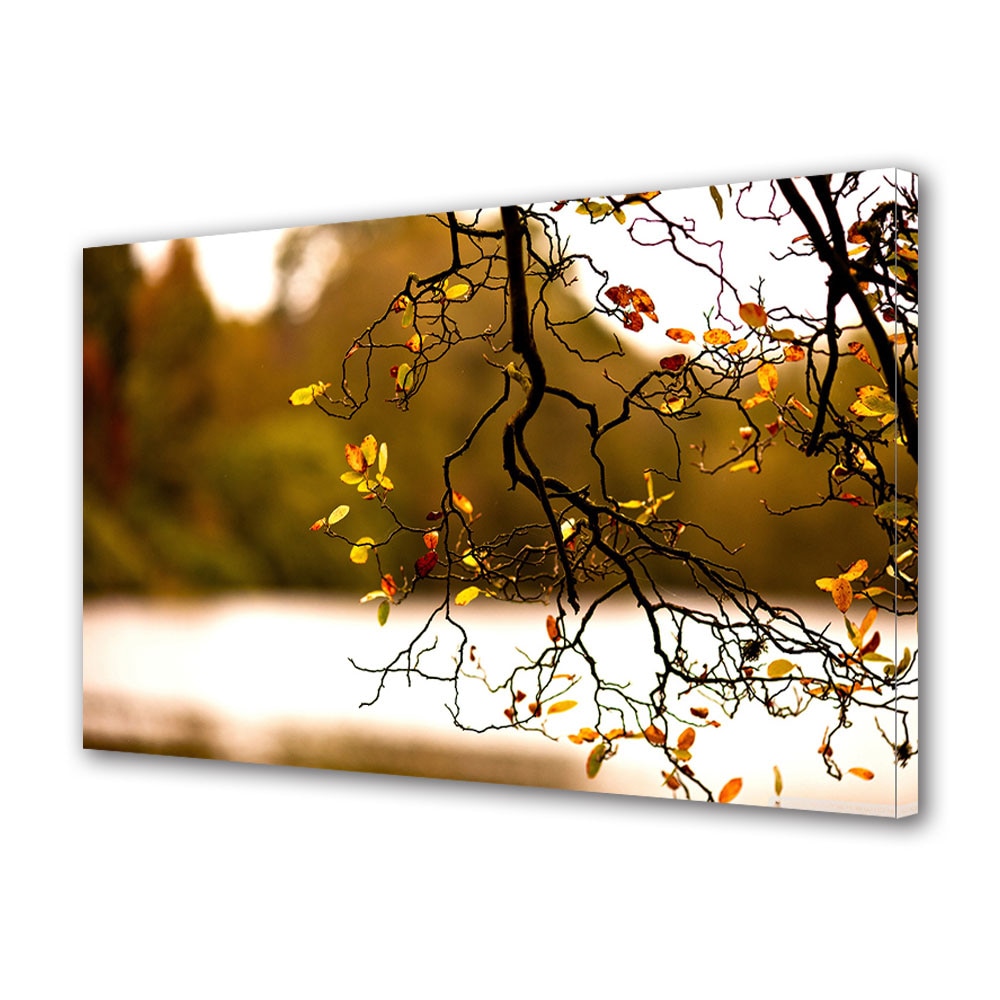 Tablou Canvas Luminos in intuneric VarioView LED, Toamna, Crengute crete, 40 x 60 cm
