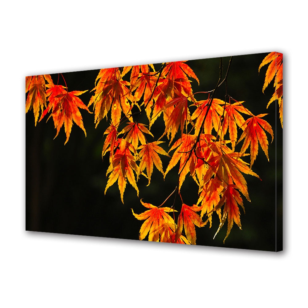 Tablou Canvas Luminos in intuneric VarioView LED, Toamna, Perdea colorata de frunze, 40 x 60 cm