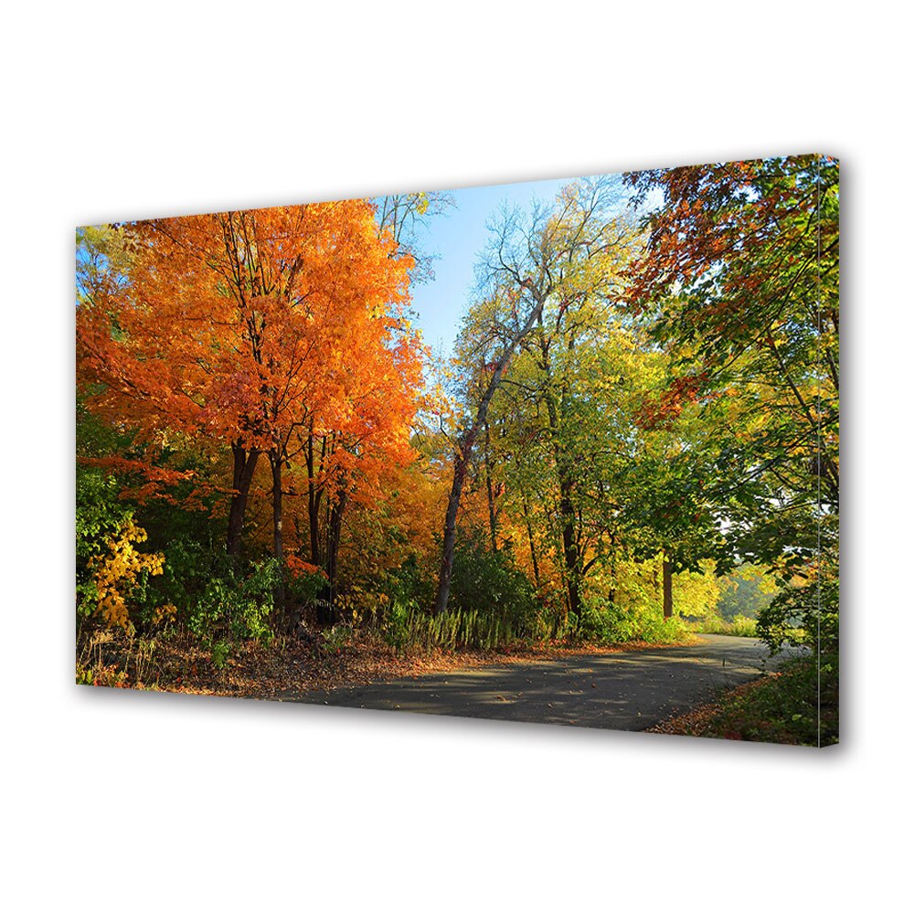 Tablou Canvas Luminos in intuneric VarioView LED, Toamna, Toate culorile toamnei, 40 x 60 cm