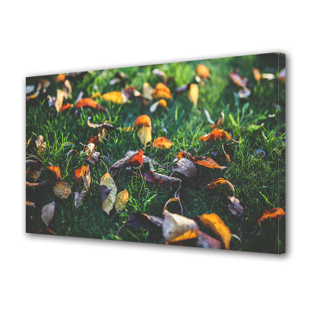 Tablou Canvas Luminos in intuneric VarioView LED, Toamna, Loc de odihna in iarba, 40 x 60 cm