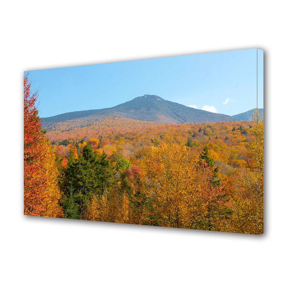 Tablou Canvas Luminos in intuneric VarioView LED, Toamna, Peste varfurile copacilor, 30 x 45 cm