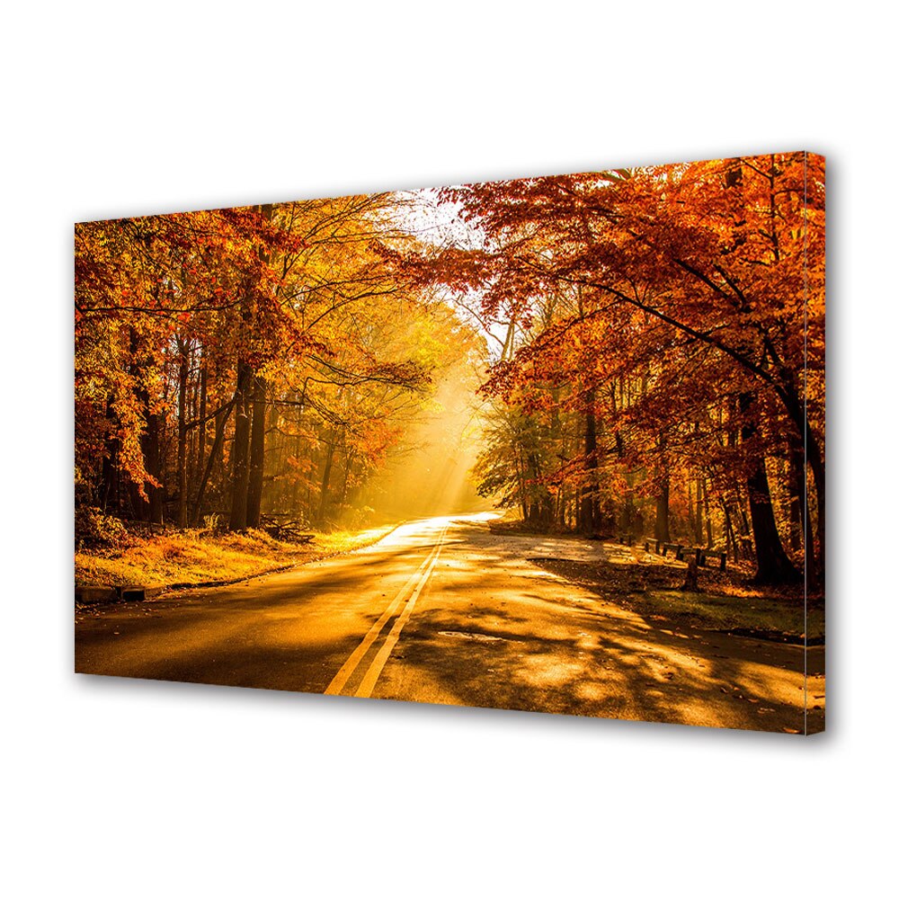 Tablou Canvas Luminos in intuneric VarioView LED, Toamna, Drumul luminat, 30 x 45 cm