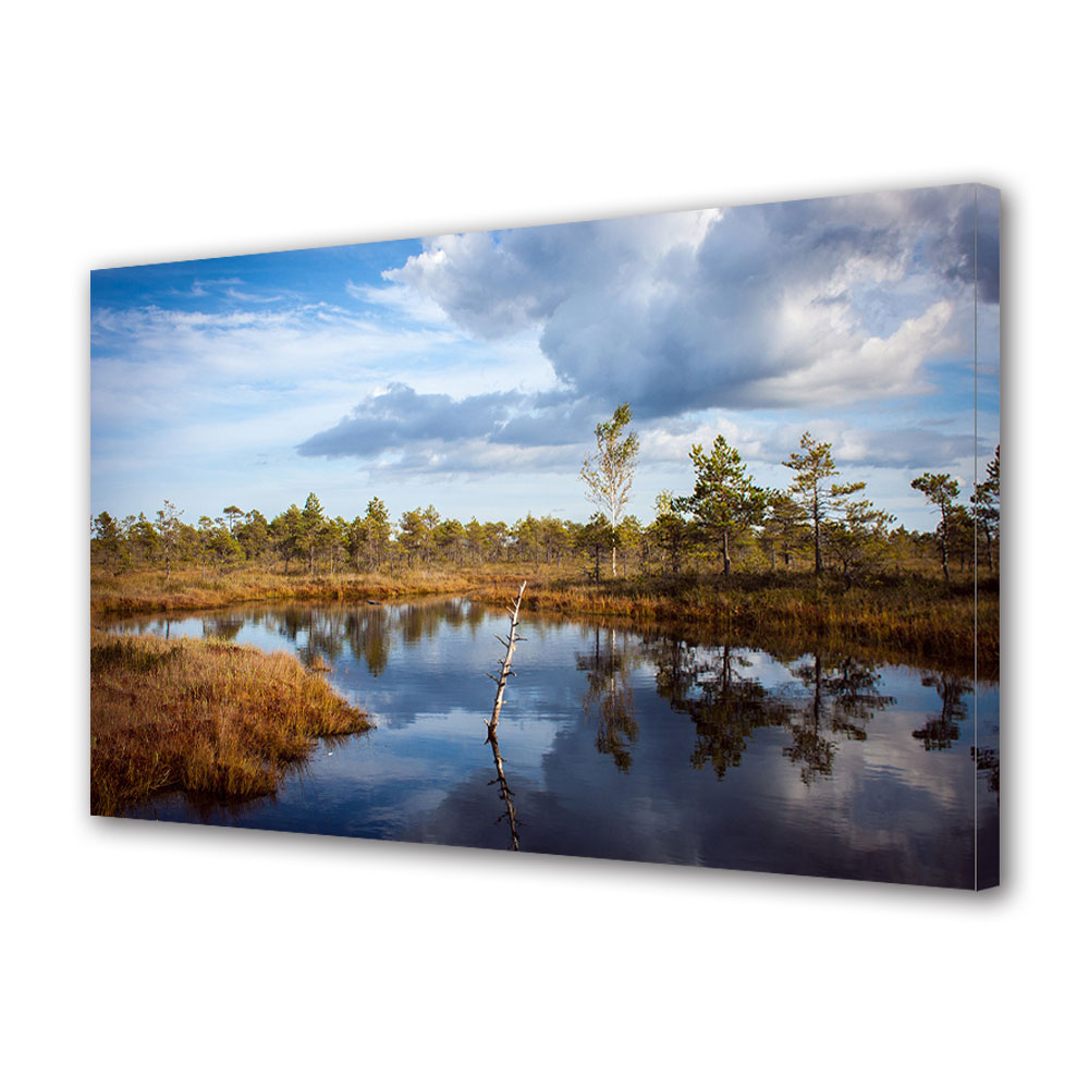 Tablou Canvas Luminos in intuneric VarioView LED, Toamna, Nori gri, 30 x 45 cm