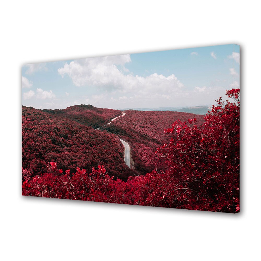 Tablou Canvas Luminos in intuneric VarioView LED, Toamna, Minunata padure rosie, 40 x 60 cm