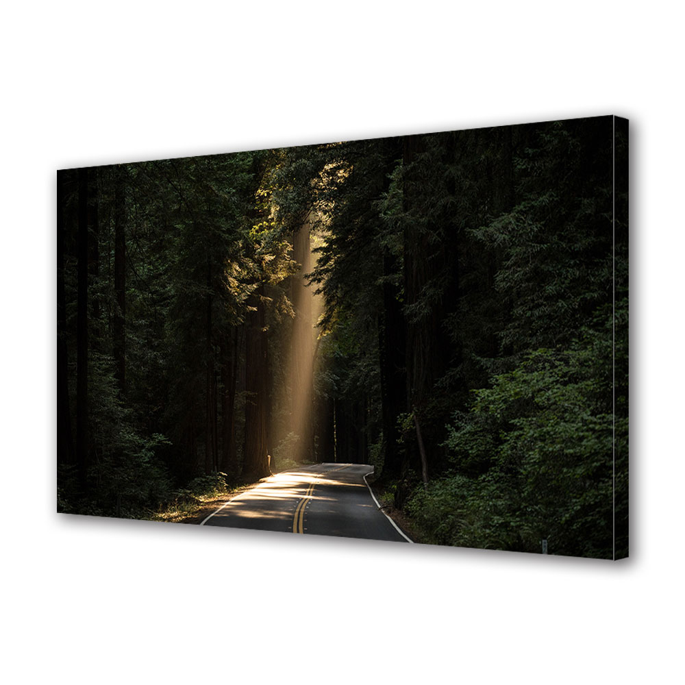 Tablou Canvas Luminos in intuneric VarioView LED, Toamna, Luminis, 30 x 45 cm