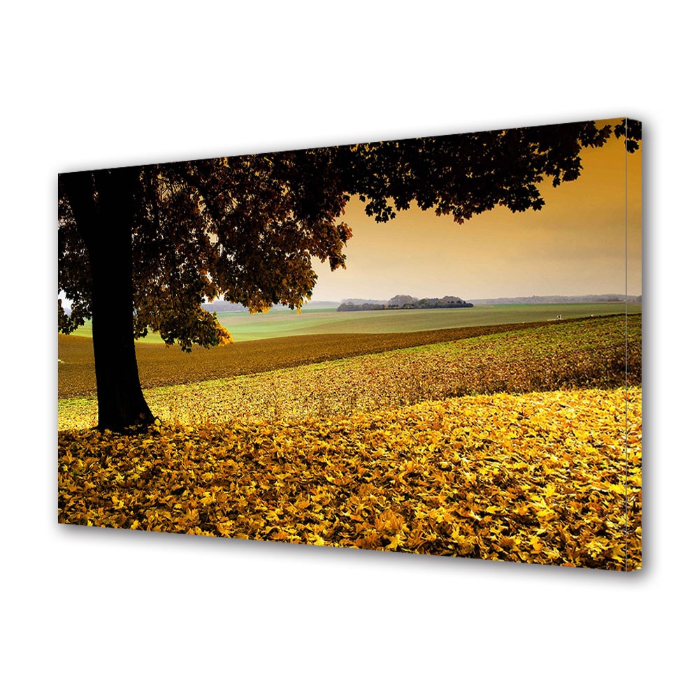 Tablou Canvas Luminos in intuneric VarioView LED, Toamna, Camp pregatit pentru toamna, 30 x 45 cm