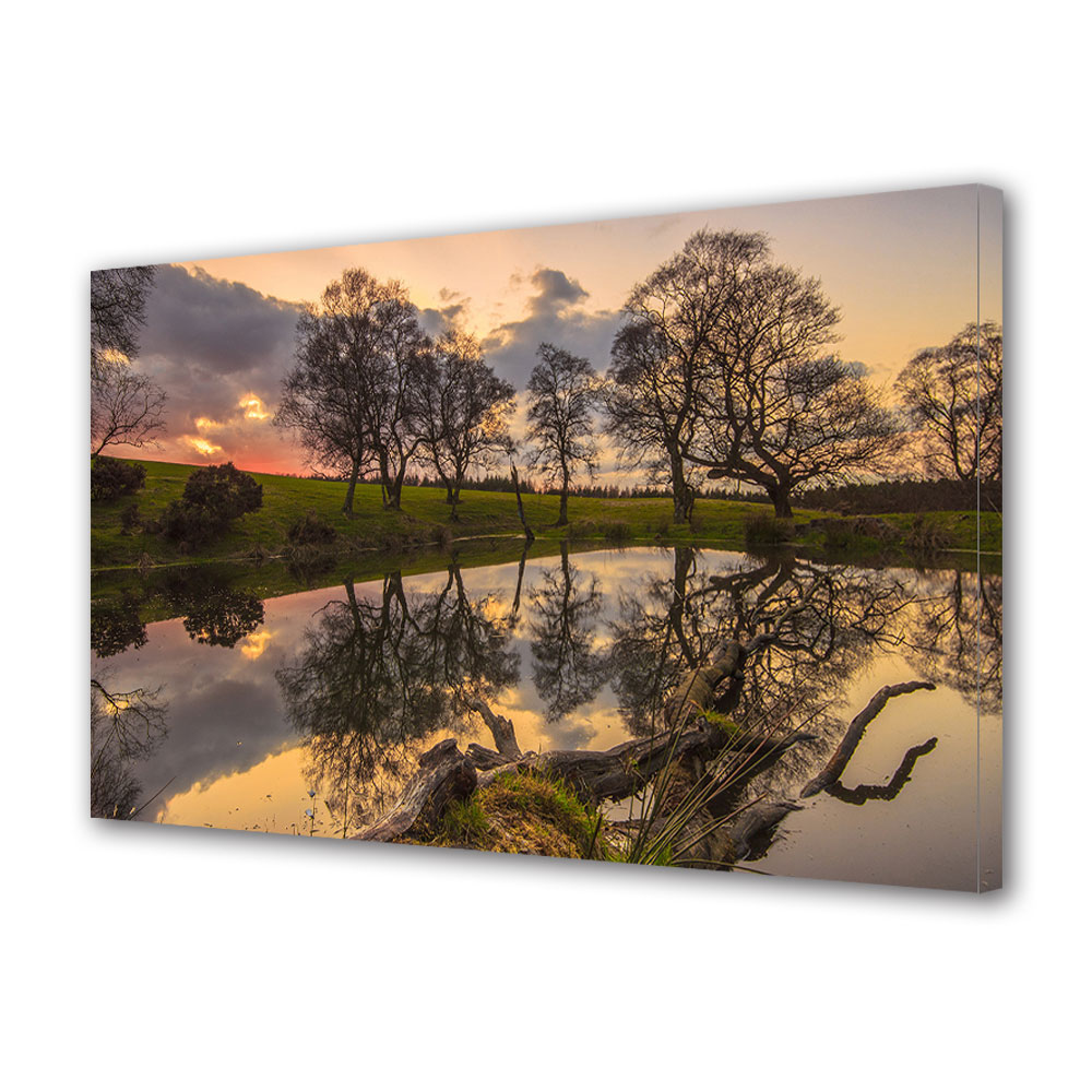 Tablou Canvas Luminos in intuneric VarioView LED, Toamna, Copac prabusit in apa, 30 x 45 cm