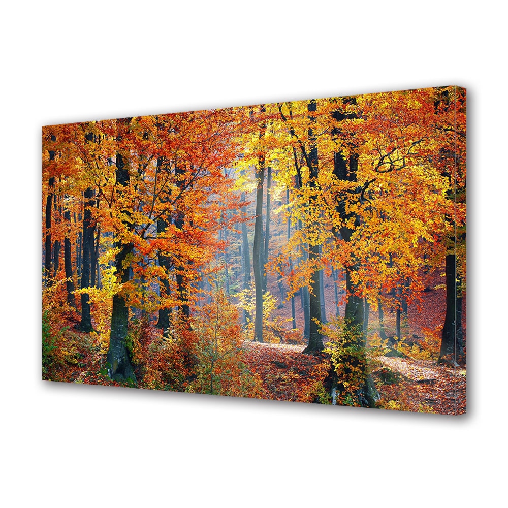 Tablou Canvas Luminos in intuneric VarioView LED, Toamna, Magia padurii, 40 x 60 cm