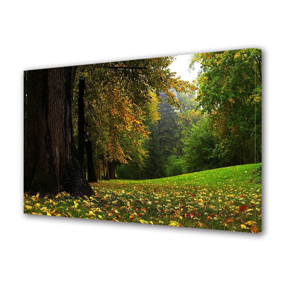 Tablou Canvas Luminos in intuneric VarioView LED, Toamna, Poiana verde, 30 x 45 cm