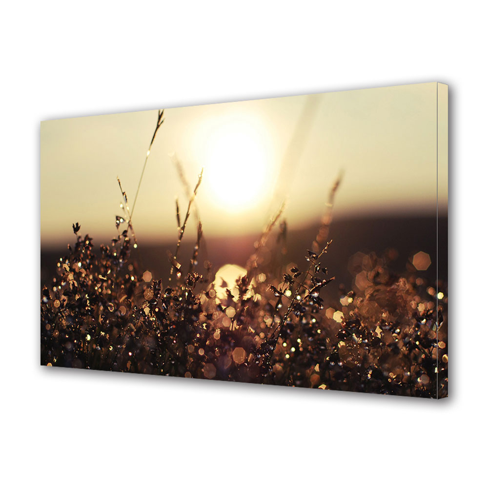 Tablou Canvas Luminos in intuneric VarioView LED, Toamna, Apus dupa ploaie, 30 x 45 cm