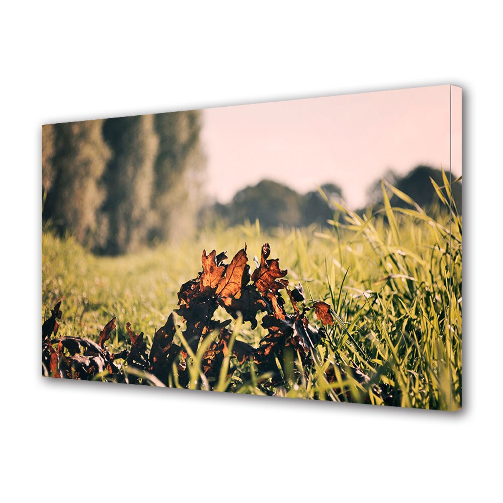 Tablou Canvas Luminos in intuneric VarioView LED, Toamna, Crenguta uscata in iarba, 30 x 45 cm