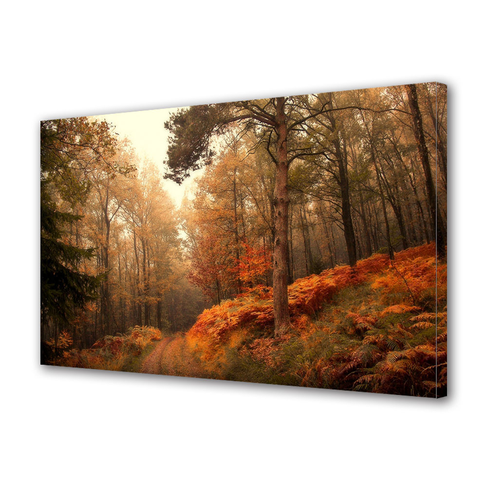Tablou Canvas Luminos in intuneric VarioView LED, Toamna, Padure in culori calde, 40 x 60 cm