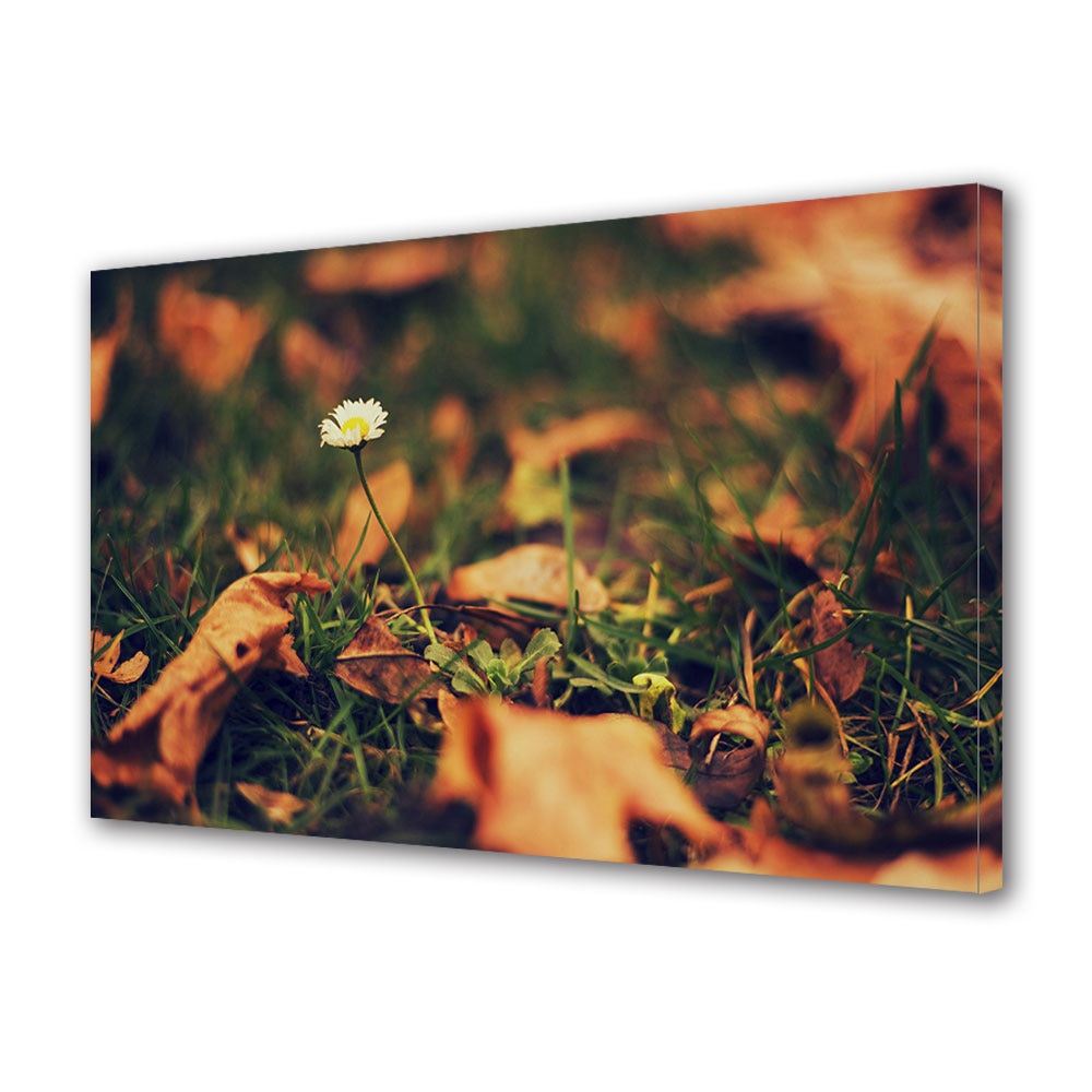 Tablou Canvas Luminos in intuneric VarioView LED, Toamna, Ultima floare alba, 30 x 45 cm