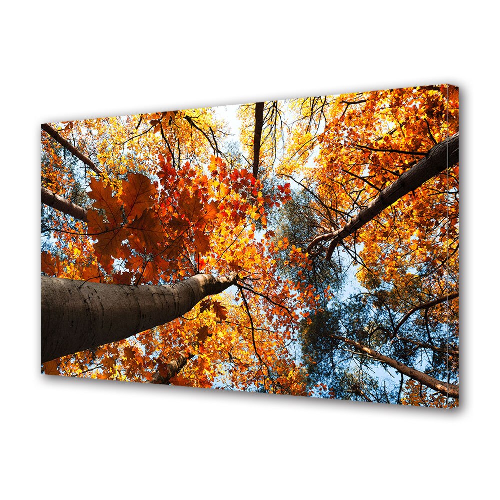 Tablou Canvas Luminos in intuneric VarioView LED, Toamna, Copaci inaltati spre cer, 30 x 45 cm