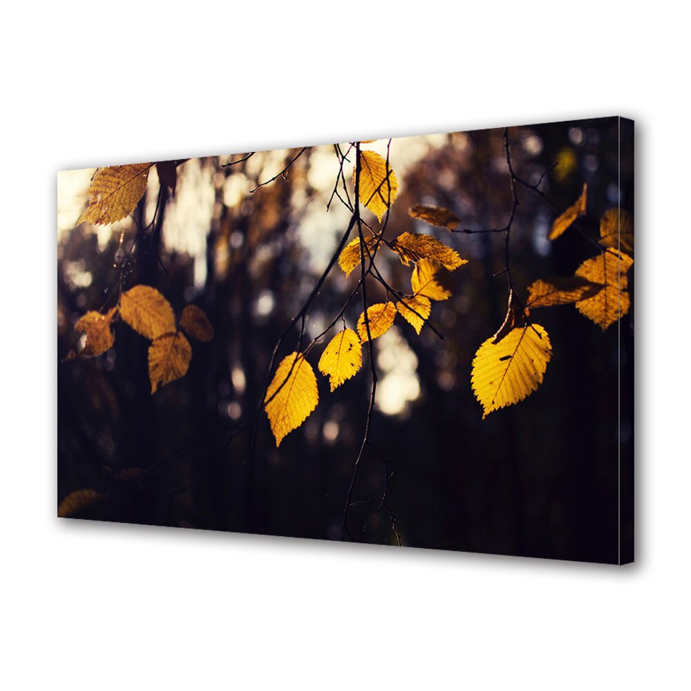 Tablou Canvas Luminos in intuneric VarioView LED, Toamna, Frunze de toamna, 40 x 60 cm