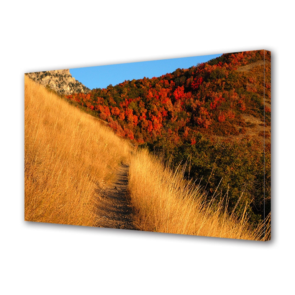 Tablou Canvas Luminos in intuneric VarioView LED, Toamna, Carare pe dealul galben, 40 x 60 cm