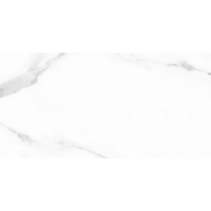 Faianta gri deschis LIVORNO griS model marmorat 25x50 cm, Cutie 1.51 MP