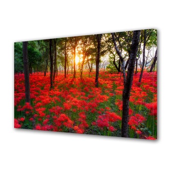 Tablou Canvas Luminos in intuneric VarioView LED, Toamna, Covor de flori rosii, 30 x 45 cm Tablou Canvas Luminos in intuneric VarioView LED, Toamna, Covor de flori rosii, 30 x 45 cm